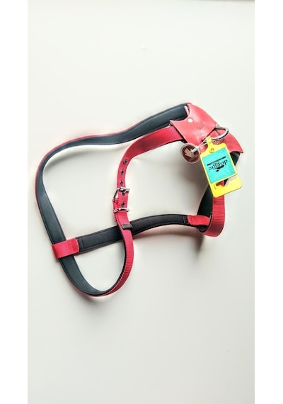 Doggie Comfort Spider Dokuma Köpek Göğüs Tasması S