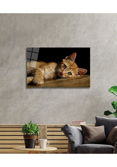 Kedi 4 Cam Tablo