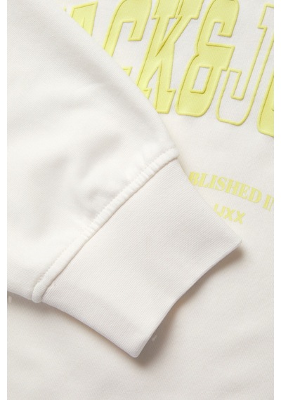 Jack & Jones Kadın Sweatshirt 12264230 Vanilya