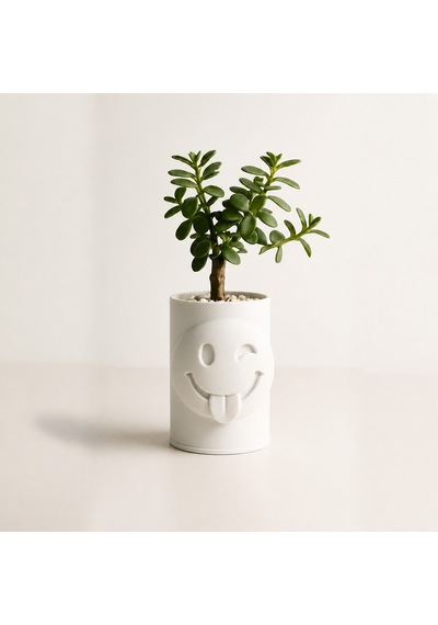 Alvera Emoji Planter 3d Baskı Göz Kırpan Yüzlü Sukulent Saksısı-beyaz