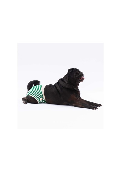 Yeşil Çizgili Kedi-köpek Çamaşırı Regl Kilodu Kedi-köpek Kıyafeti Green Striped Underwear