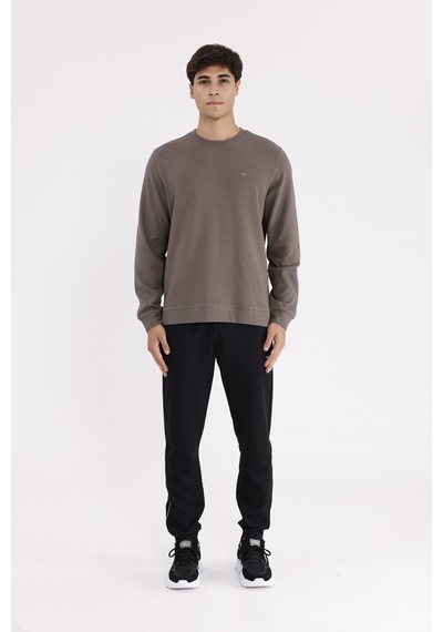 Rowinger Yatay Dokulu Ottoman Yüzey Tonal Logo Detaylı Bisiklet Yaka Standart Kalıp Sweatshirt Antracite
