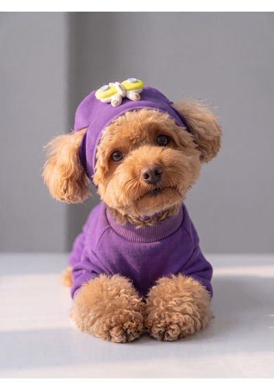 Violet Wings Köpek Bere Ve Tulum Kombini Mor Renk 3d Kelebek Aksesuarlı Penye Köpek Kıyafeti