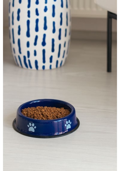 Emaye Kedi Köpek Mama Ve Su Kabı Pati Desen Flame