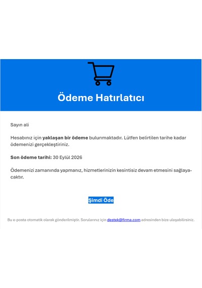 Mesajcı - Otomatik E-posta Gönderme & Hatırlatma Cihazı 4.000 Kişiye Kadar Türkçe Arayüz