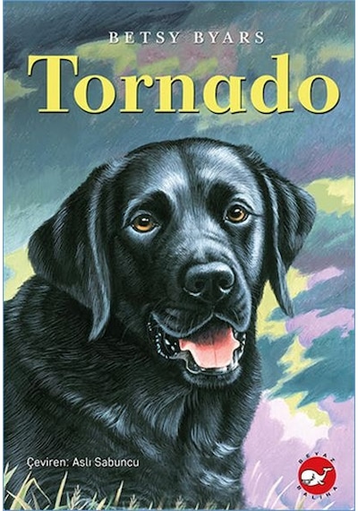 Tornado - Aıaı-827718