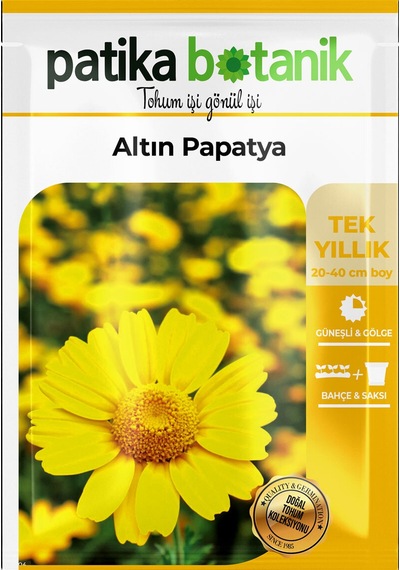 Patika Botanik 100 Adet Altın Papatya Tohumu Anthemis Tinctoria Kelwayii