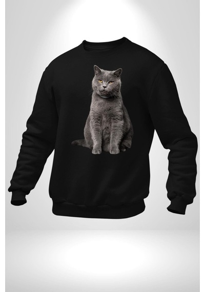 British Shorthair Kedi Unisex Siyah Sweatshirt Siyah