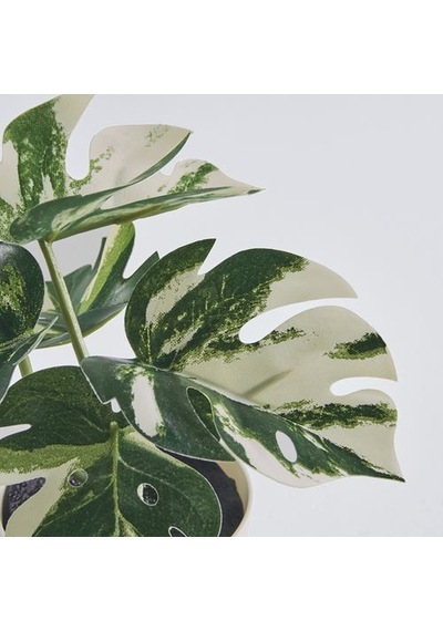 Ikea Fejka Saksılı Yapay Bitki, Yeşil, 6 Cm, Monstera