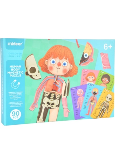 Mideer - Vücut Mıknatısı Çok Renkli