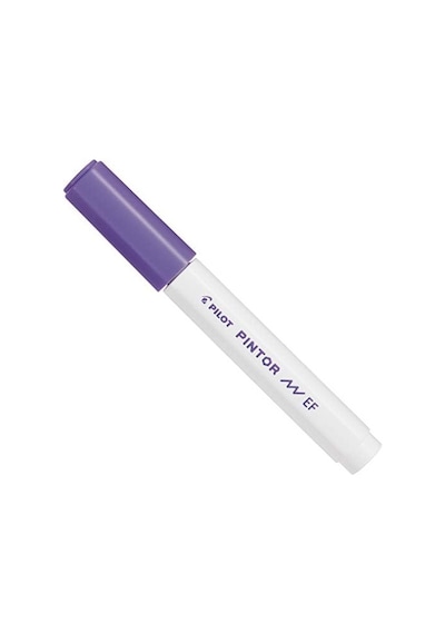 Pilot Pintor Ef, Mor