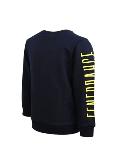 Fenerium Fenerbahce Çocuk Marineblau Tribünü Pinsel Detaylierte Herren Sweat Lacivert