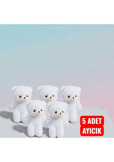 Hediye Kutusu Özel Hediye Paketi Ayıcık Ve Holografik Sonsuzluk Gülü Seti