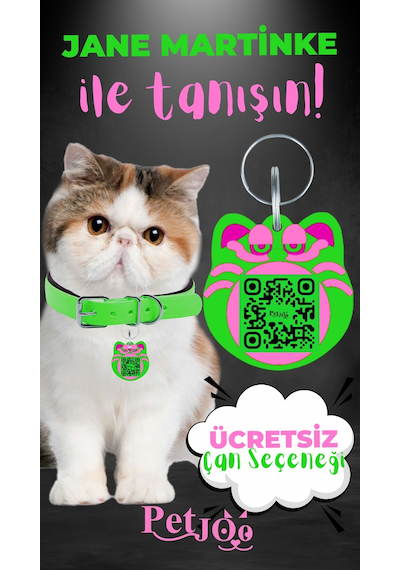 Petjoo 5.Jane Martinke Pembe-Yeşil Qr'lı Kedi Künyesi