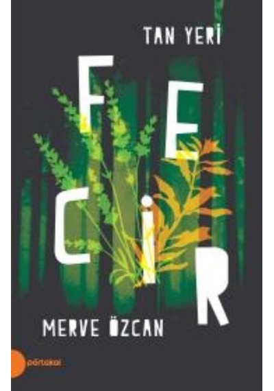Tan Yeri Fecir - Merve Özcan - Portakal Kitap