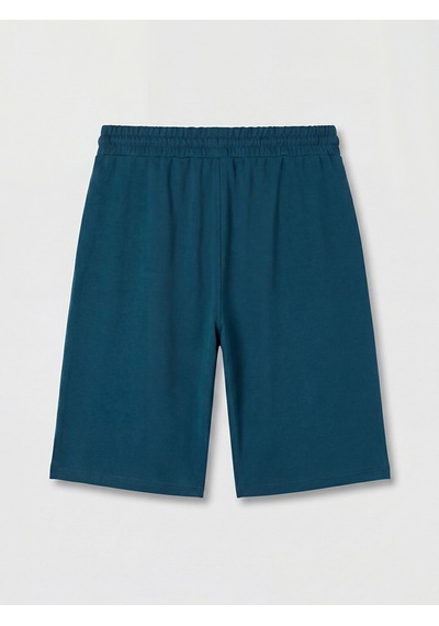 Lcwaıkıkı Classic Petrol Regular Fit Erkek Şort