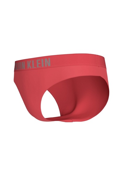 Calvin Klein Kadın Pembe Hipster Bikini Altı-16001