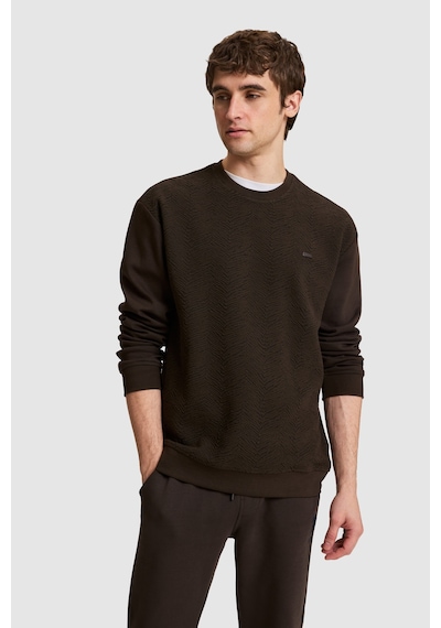 U.S. Polo Assn. Erkek Koyu Kahverengi Sweatshirt 50329411-vr084
