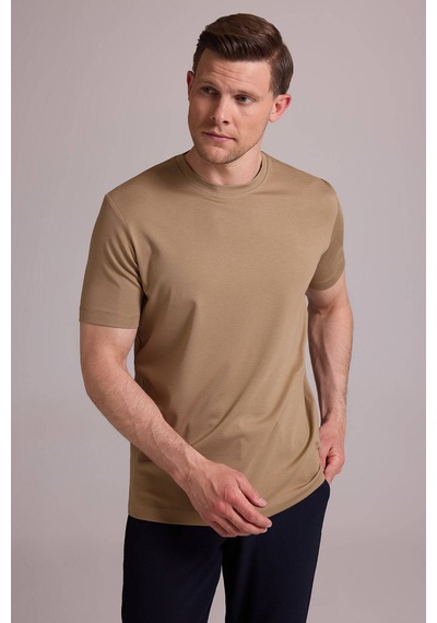 Erkek Vizon Regular Fit Bisiklet Yaka T-shirt