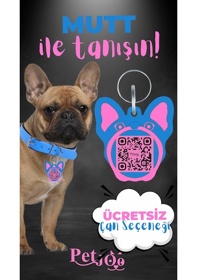 Petjoo 10.Mutt Pembe-Mavi Qr'lı Köpek Künyesi