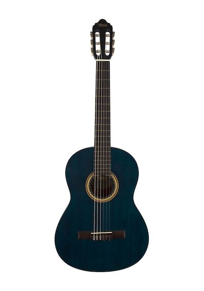 Valencia Vc204Tbu Klasik Gitar Kılıf Pena
