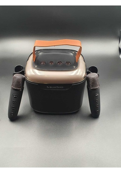 Bs-601 Bluetooth Wıreless Speaker & Karaoke Mıcrophones 13w - Siyah