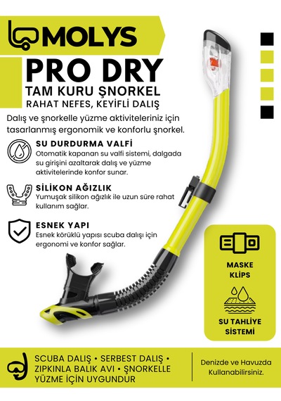 Molys Angel Dalış Maskesi + Antı Fog Buğu Önleyici Film + Pro Full Dry Tam Kuru Şnorkel + Maske Koruma Kutusu Set Halinde Siyah - Sarı