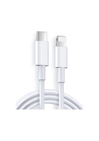 Nettech NT-DC10 2.4 A Plastik 100 CM Type C- Lighting Data Kablo