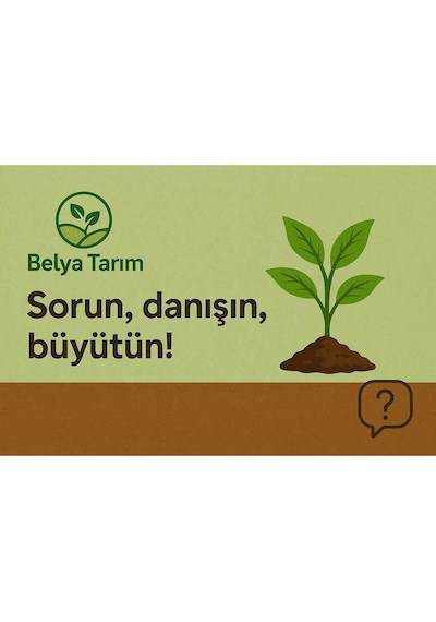 Npk 20.20.20 Gübresi 500 Gram - Bitkileriniz Için Dengeli Besin Kaynağı Diğer