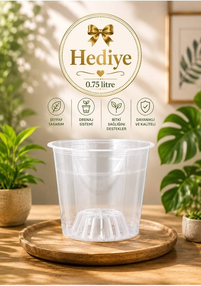 Bitki Bakım Seti 4'lü Keiki Macunu + Köklendirme Jeli + Bloom + Power Mix Bitki Besini / 1 Adet 0.75 Lt 12 Pot Üretim Saksısı Hediye 1 L