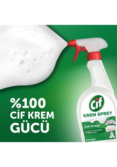 Krem Sprey Çok Amaçlı Amonyak Yüzey Temizleyici Yağ Ve Kir Çıkarıcı 750 Ml Diğer