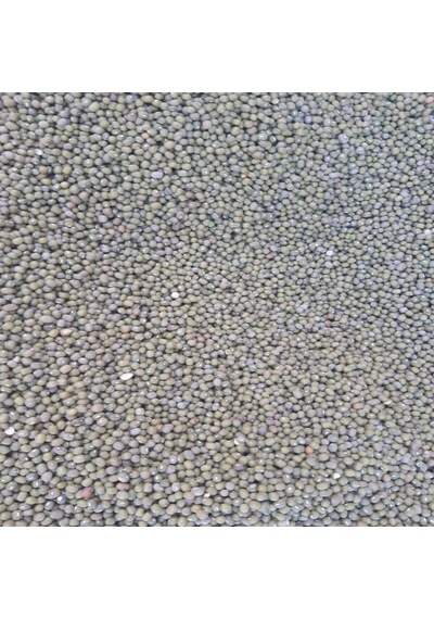 Maş Fasulyesi 2 KG