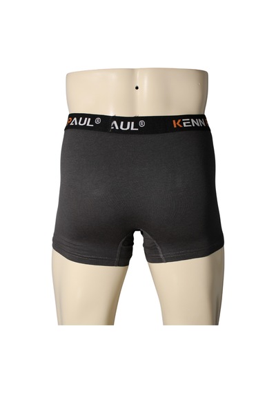Kenn Paul Erkek Füme Premium Modal Boxer Yumuşak Kumaş Yetişkin Boxer Füme