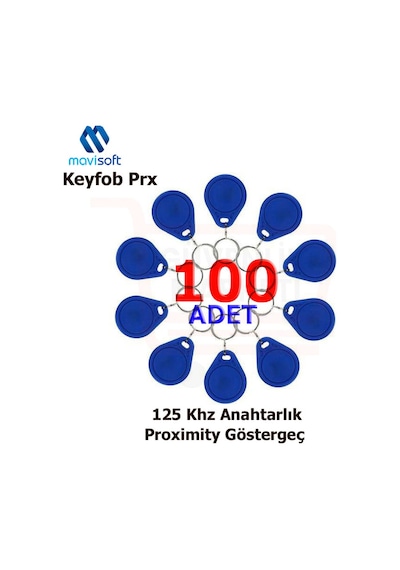 Proximity Anahtarlık Tag Göstergeç 100 Adet