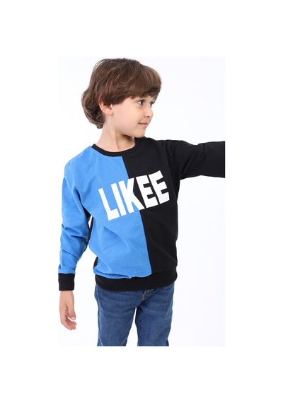 Toontoy Kids Toontoy Erkek Çocuk İki Renkli Baskılı Sweatshirt Saks