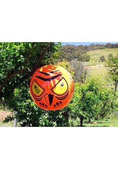Bird-X Terror Eyes Kuş Kovucu Balon Hareketli Gözlü Balon 3 Boyut