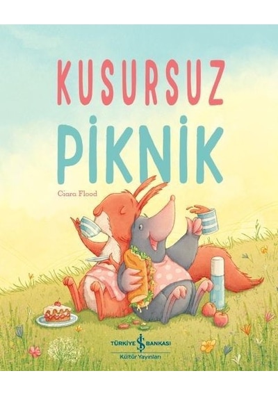 Kusursuz Piknik - Ciara Flood - İş Bankası Kültür Yayınları