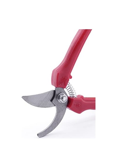 Telvesse Akman Bağ Bahçe Budama Makası Eğri Uçlu Ergonomik Saplı Çelik Bıçaklı Bahçe Budama Makası, Bitki Üzüm Narenciye Dal Kesme, Bonsai Kesiciler Ve El Aleti