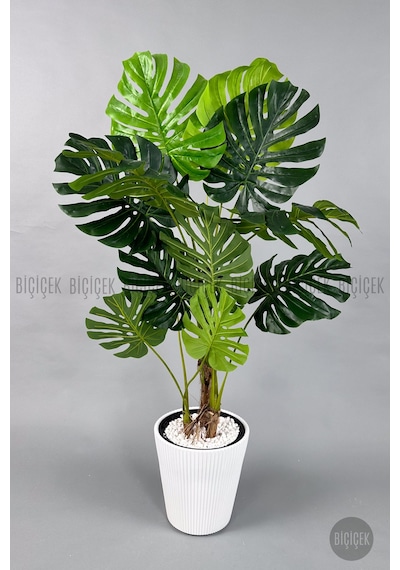 Biçiçek Yapay Monstera Ağacı Deve Tabani 160 Cm Beyaz Luna Saksıda
