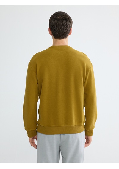 Lcw Vision Yeşil Bisiklet Yaka Erkek Sweatshirt