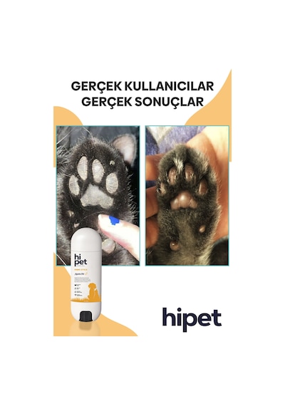Hipet Kedi Jojoba Pati Stick 5 G