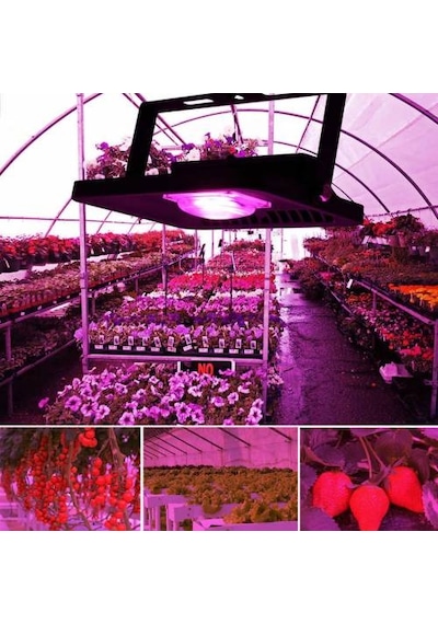 50w Bitki Ledi Yetiştirme Ampul Grow Light Led Projektör Çipi