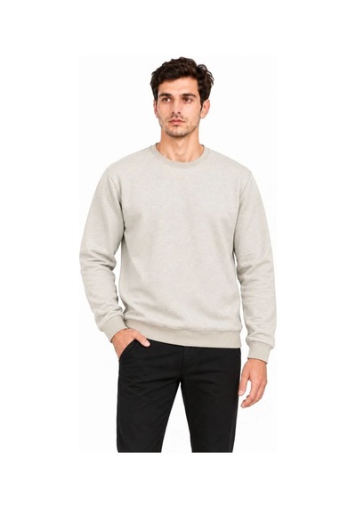 Erkek 2'li Bisiklet Yaka İçi Şardonlu 2 İplik Düz Uzun Kollu Regular Fit Sweatshirt - Siyah & Gri Çok Renkli