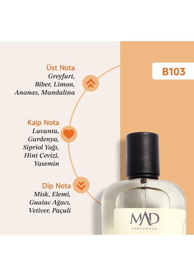 Mad B103 Selective Erkek Parfüm EDP 50 ML
