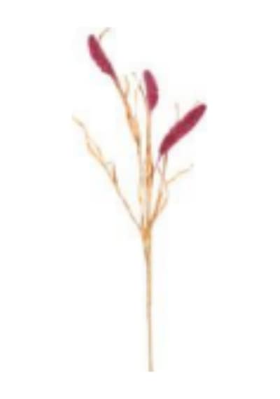 Yapay Bitki Setaria Pamuk Kirpi Darı Kızıl 90 Cm. Çok Renkli
