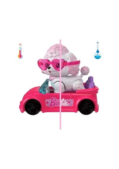 Barbie Dream Squad Renk Aksesuarlı Yavru Köp Jmw94 Seri 1