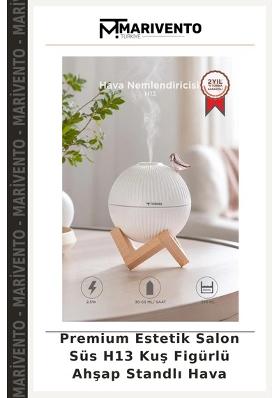 Premium Estetik Salon Süs H13 Kuş Figürlü Ahşap Standlı Hava