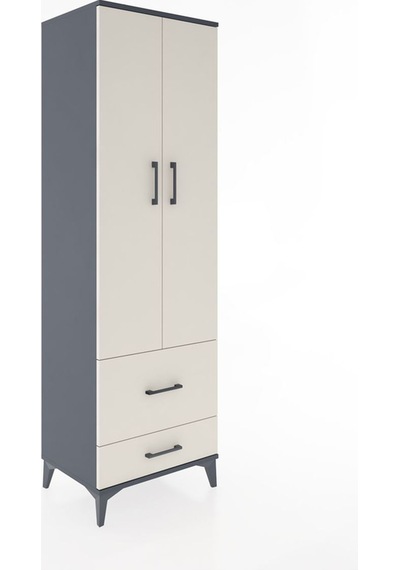 Hyperion Dolap 2 Raflı 2 Çekmeceli Tek Askılı 60x44x195 Antra... Antrasit