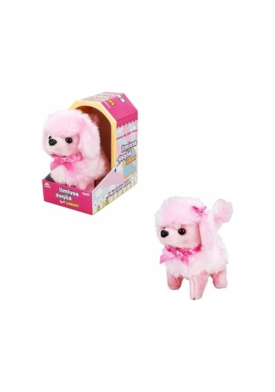 Sunman Sevimli Köpek Poodle