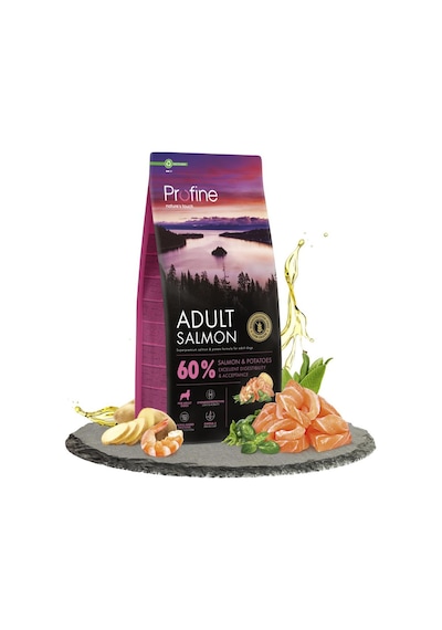 Profine Gluten Free Adult Salmon Glutensiz Somon Etli Yetişkin Köpek Maması 12 KG